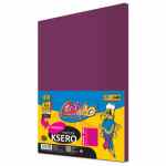 PASTELLO Papier kolorowy ksero A4 fioletowy 100 arkuszy